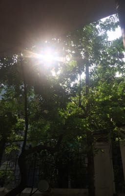 [Tạm Drop]Mẩu Truyện Ngắn Trong Đời