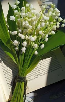 [ TẠM DROP ] Ngọn gió đêm qua ,ánh trăng đêm nay