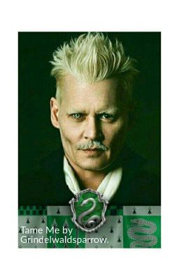 Tame Me (a Gellert Grindelwald love story)