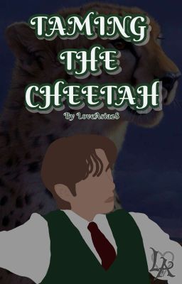 TAMING THE CHEETAH | KIM TAEHYUNG 