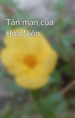 Tản mạn của Hoa Niên