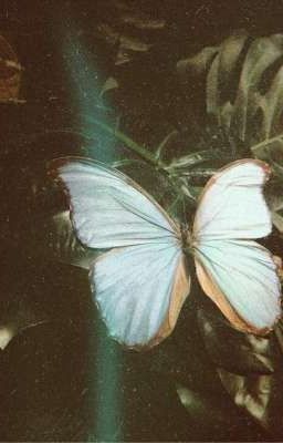 Tao bị điên