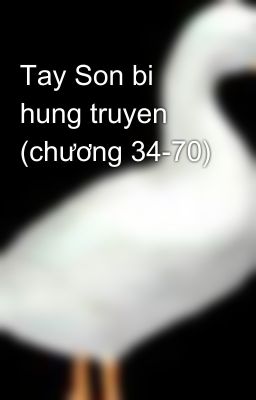 Tay Son bi hung truyen (chương 34-70)