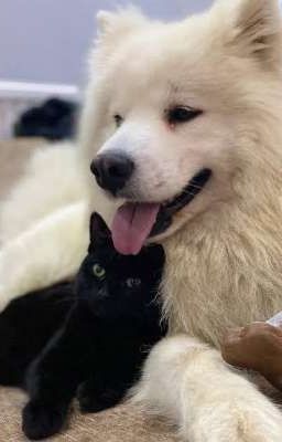 [TBTN] Q&A cùng otp