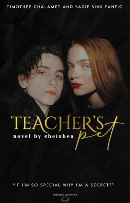 teacher's pet ✦ timothée chalamet.