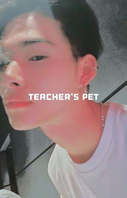 teacher's pet ¡𔘓! wonki 