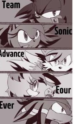 Team Sonic Advance Four Ever