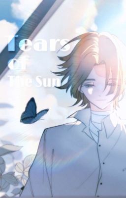 Tears of The Sun [Inui x Reader] || Tokyo Revenger Fanfict