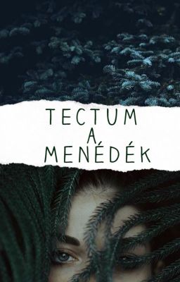 Tectum, a menedék