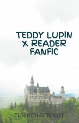 TEDDY LUPIN X READER FANFIC