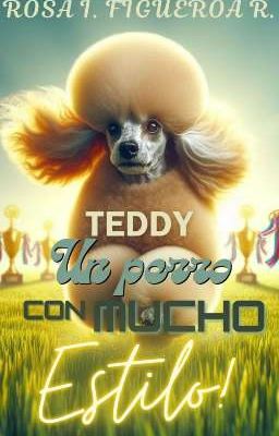 Teddy un perro con mucho estilo 