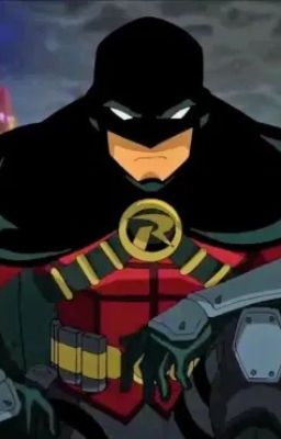 Teen Titans !Go!:Red Robin