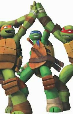 Teenage Mutant Ninja Turtles. Kleine Schwester 