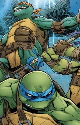 Teenage Mutant Ninja Turtles Rp