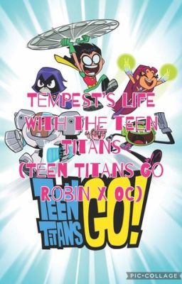 Tempest's Life With The Teen Titans (Teen Titans Go Robin x OC)