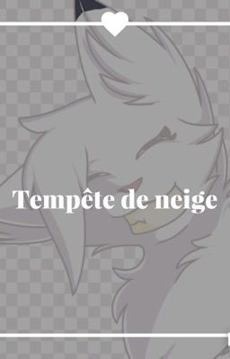 Tempête de neige