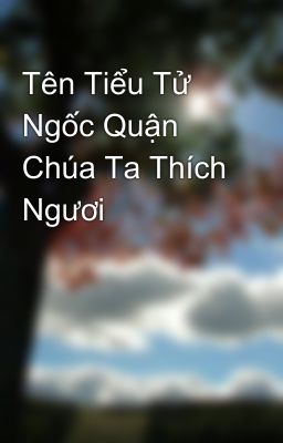 Tên Tiểu Tử Ngốc Quận Chúa Ta Thích Ngươi