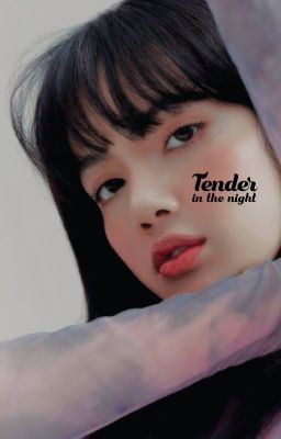 Tender in the Night | A Lizkook AU