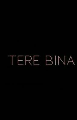 TERE BINA