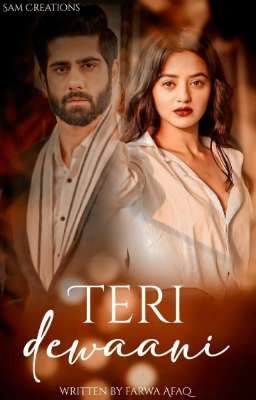 TERI DEEWANI ♥️❣️