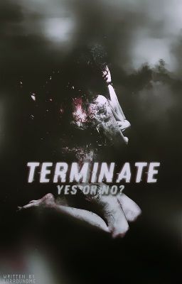 Terminate [Y/N]