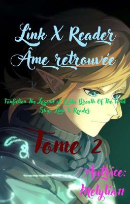 [ TERMINÉE ] Âme retrouvée Link X Reader (Fanfiction Zelda BOTW)