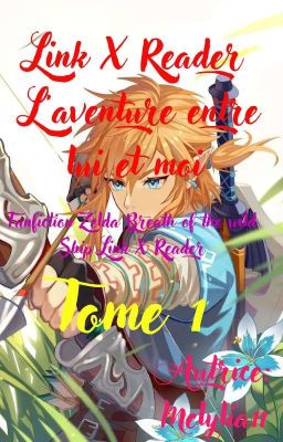 [ TERMINÉE ] L'aventure entre lui et moi Link X Reader (Fanfic Zelda BOTW)