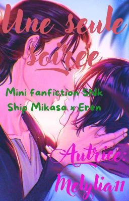 [TERMINÉE] Une seule soirée (Fanfic SNK) 