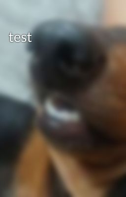 test