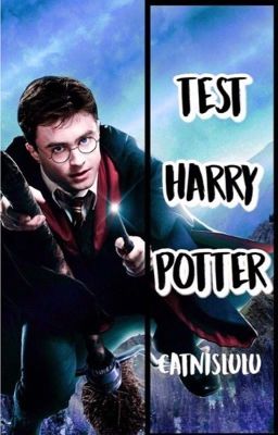 test Harry Potter 