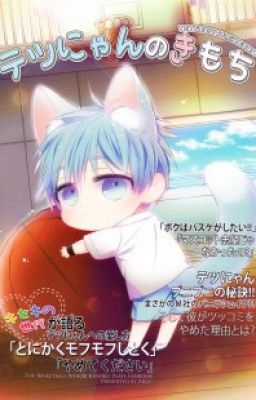 Tetsu-nyan no Kimochi-Cảm xúc của bé mèo Tetsu 1