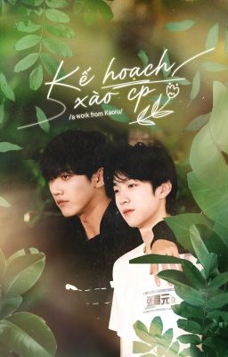 [Textfic|YZL] Kế hoạch xào CP