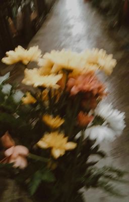 ˚TFgen4-Textfic || ✩‧Chuyện Lặt Vặt✧˖˚