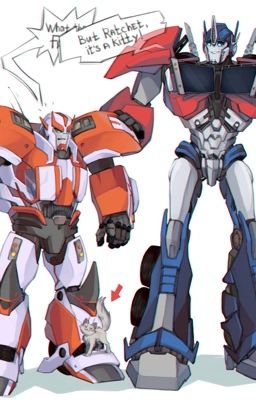 Tfp, G1 and bayverse oneshots(Requests closed)