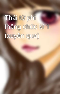 Thái tử phi thăng chức kí 1 (xuyên qua)