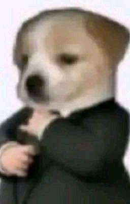 Thanh xuân của chúng ta