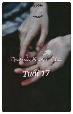 Thanh Xuân Của Tuổi 17