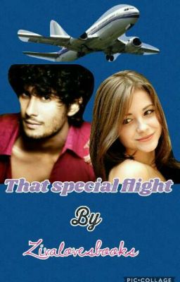 That Special Flight (COMPLETED)