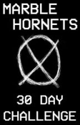 The 30 Day Marble Hornets Challenge