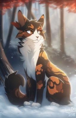 The 4 Seasons - Warrior Cats RpG 