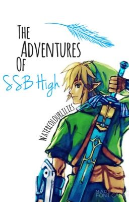 The Adventures at SSB High // Discontinued