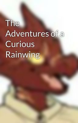 The Adventures of a Curious Rainwing