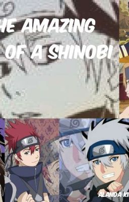 The amazing life of a shinobi