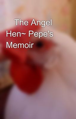 💖The Angel Hen~ Pepe's Memoir 🐔