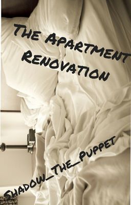 The Apartment Renovation