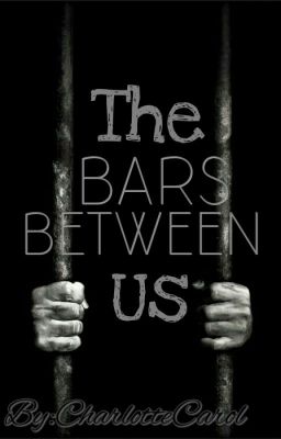 The Bars Between Us