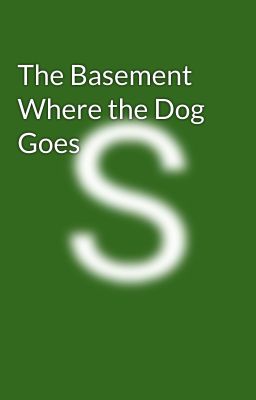 The Basement Where the Dog Goes