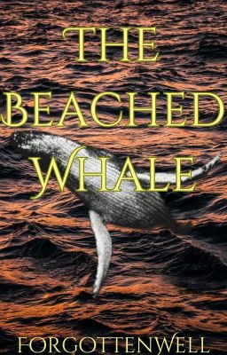 The Beached Whale