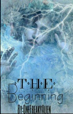 The Beginning (book one)