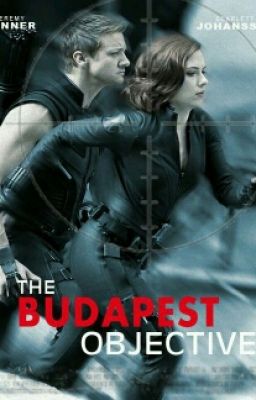 The beginning : Budapest